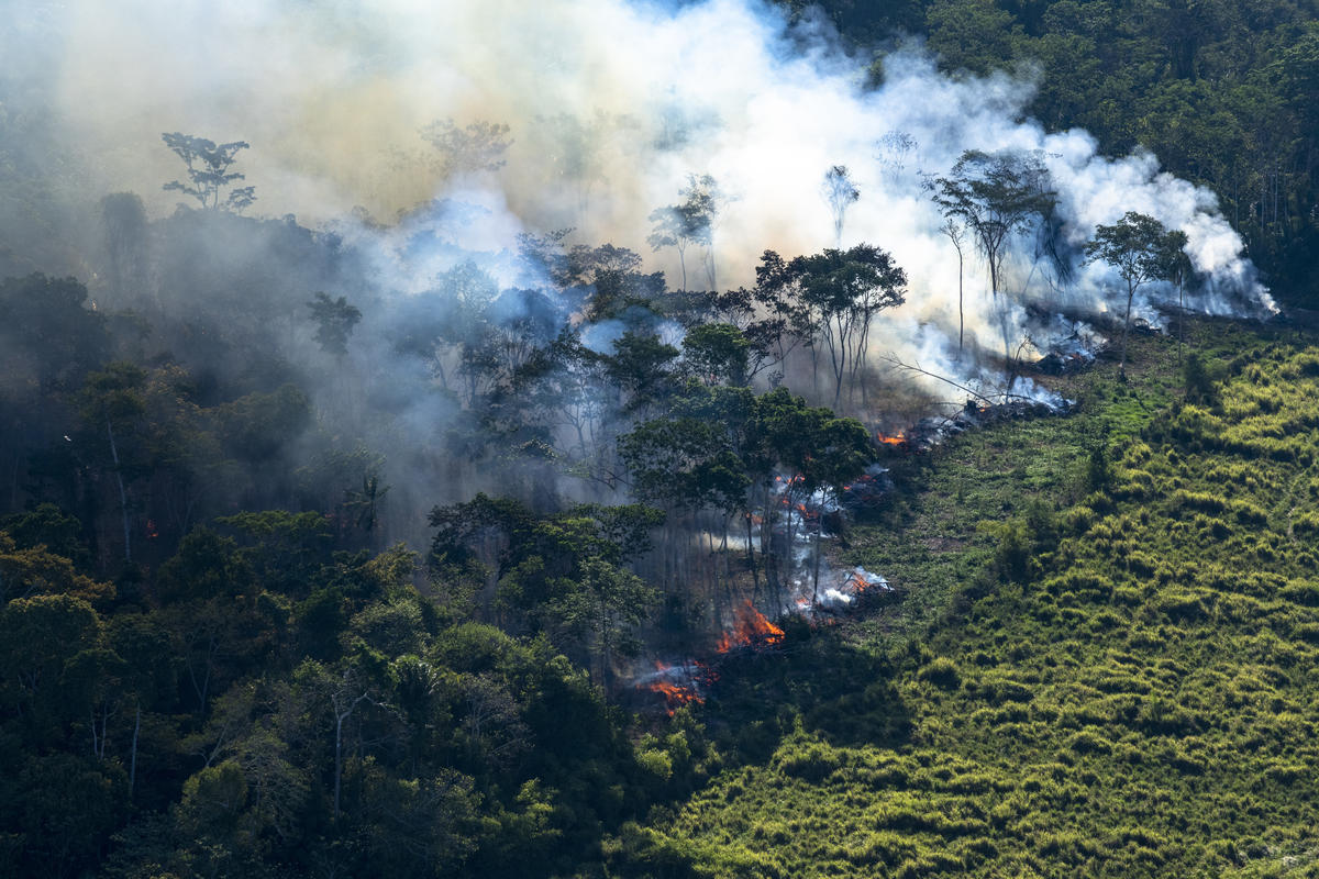 Defesa inaugura antena para ajudar a monitorar o desmatamento na Amazônia