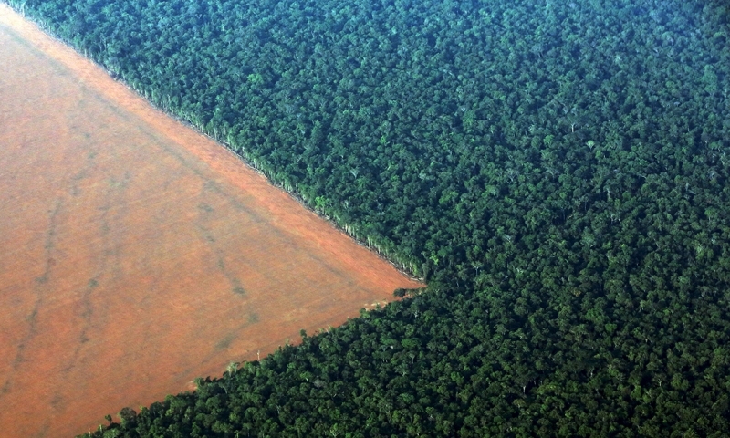 Desmatamento por mineração na Amazônia bate recorde em 2021