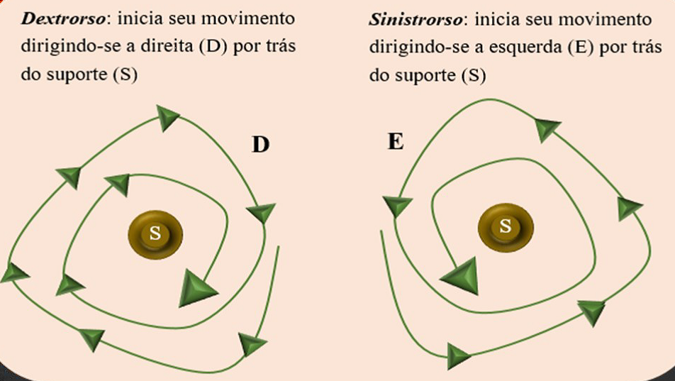 dextrorso e sinistrorso