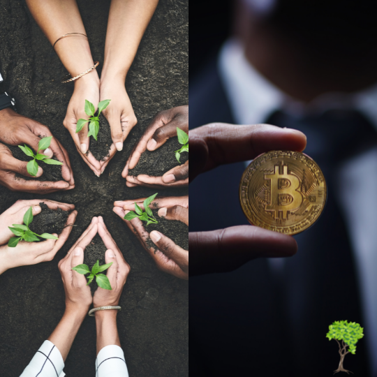 Mineração de criptomoeda não é tão ruim para o meio ambiente como costumava ser