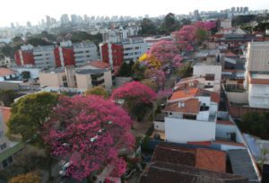  (Foto: Franklin de Freitas)