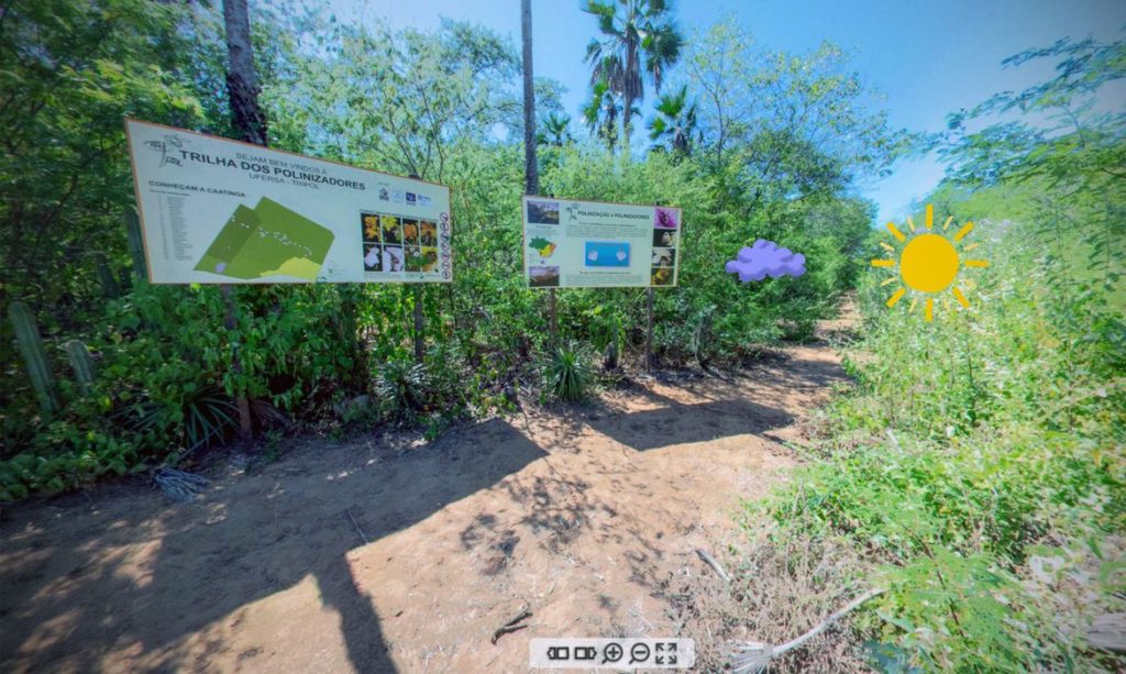 trilha na Caatinga em 3D