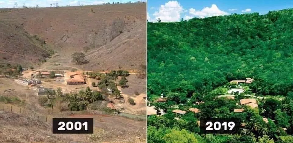 Fotógrafo Sebastião Salgado restaurou 17 mil acres de terra com 4 milhões de árvores