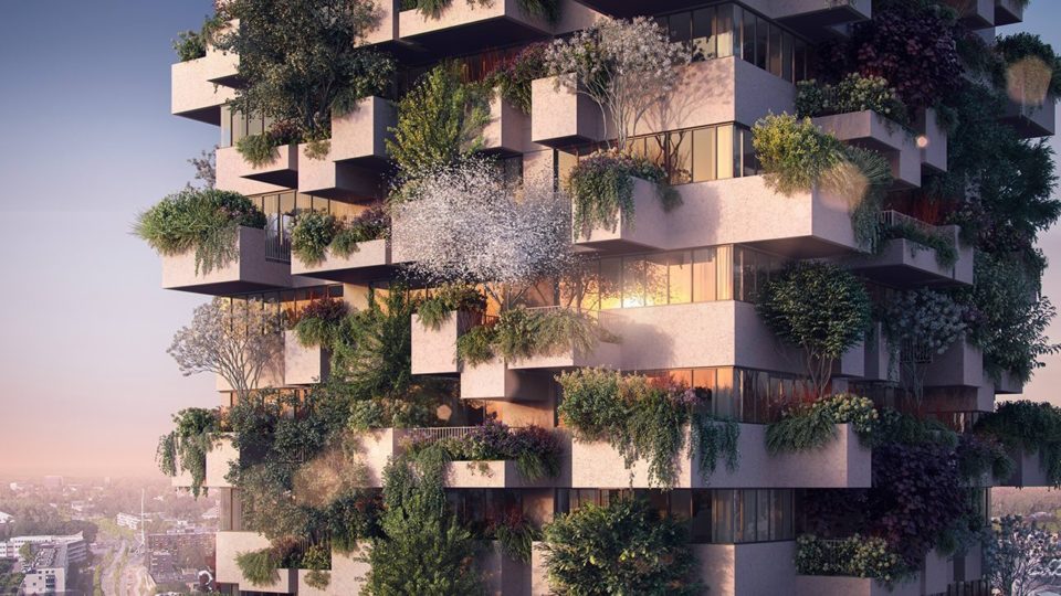 Floresta vertical fica mais barata e é exportada para outros países