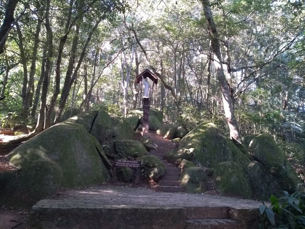 Estátua de São João Gualberto no antigo Horto Florestal de São Paulo