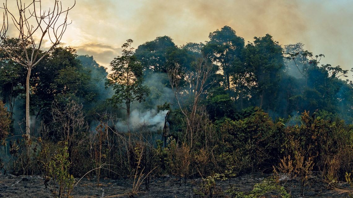 Leste da Amazônia está emitindo 10 vezes mais CO2 que o Oeste