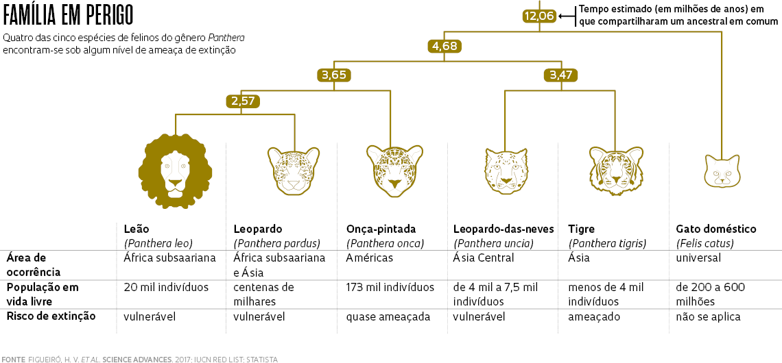 Onças-pintadas ameaçadas