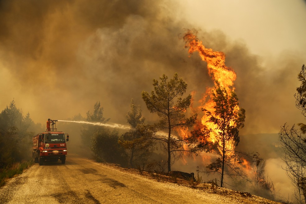 Incêndio florestal na Turquia deixa diversos focos e perdas