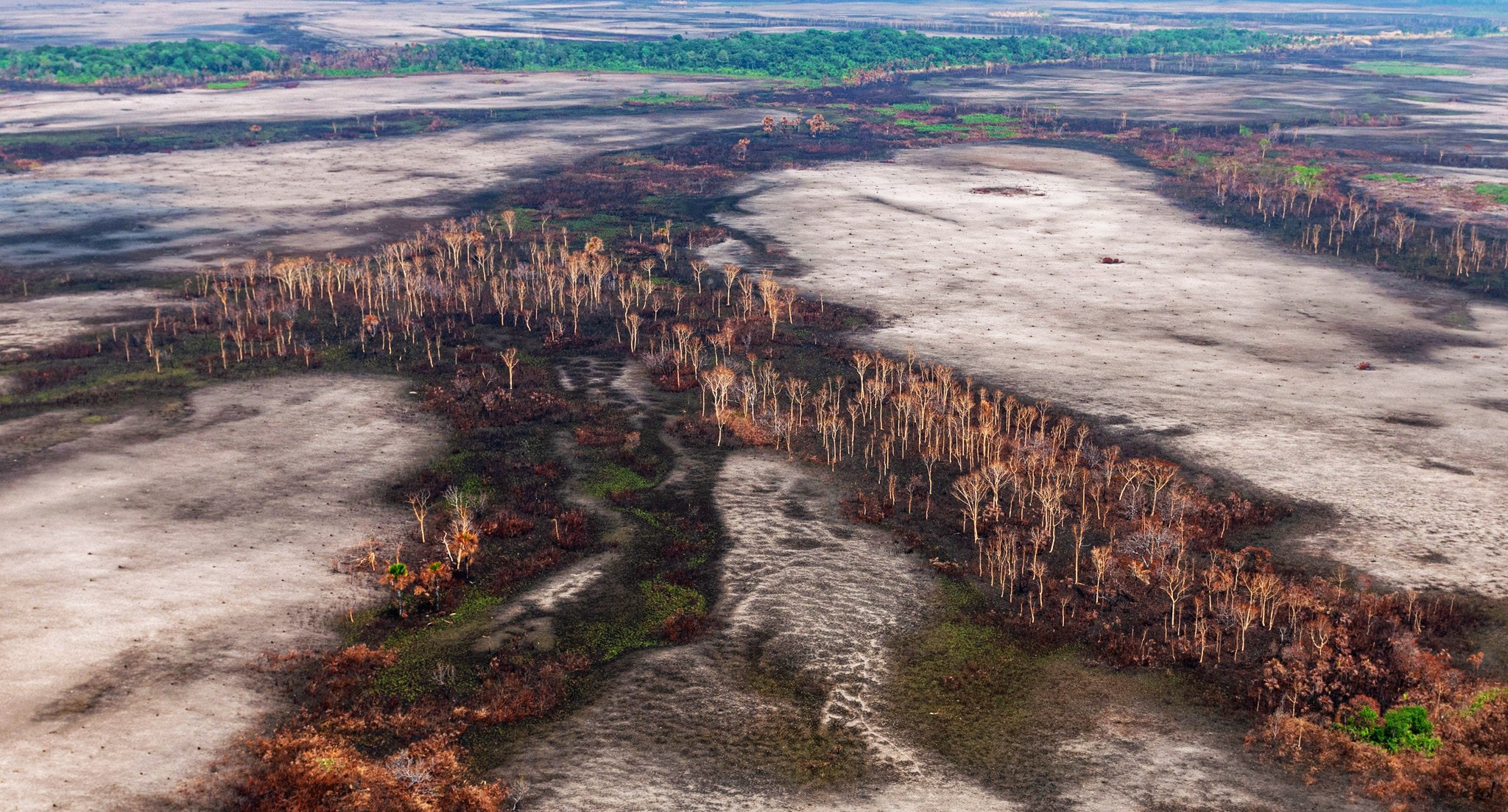 Alertas de desmatamento na Amazônia é o segundo maior desde 2016