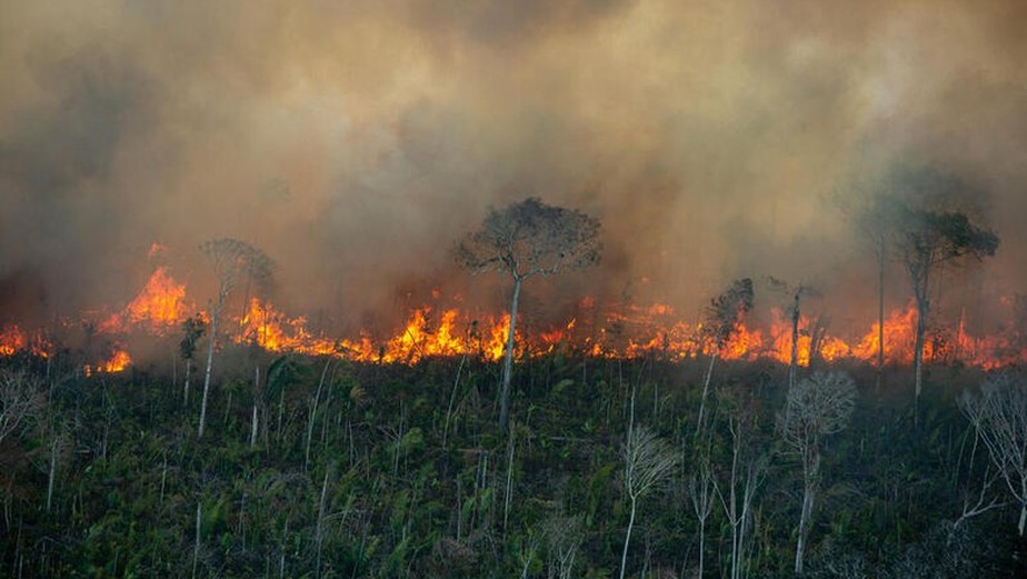 Fotos aéreas flagram queimadas na Amazônia em diversos Estados