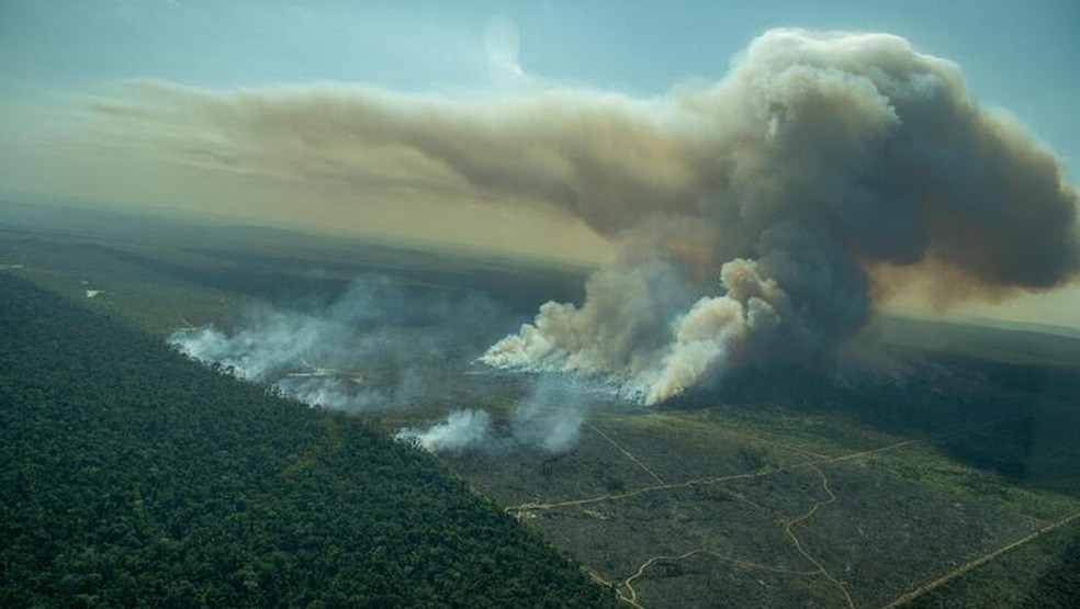 queimadas na Amazônia