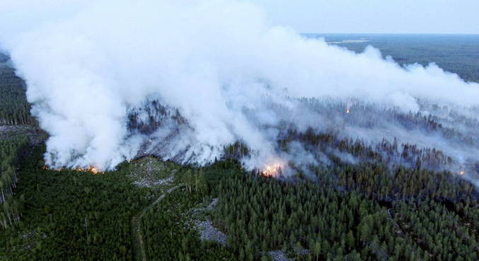 Finlândia sofre maior incêndio florestal em 50 anos