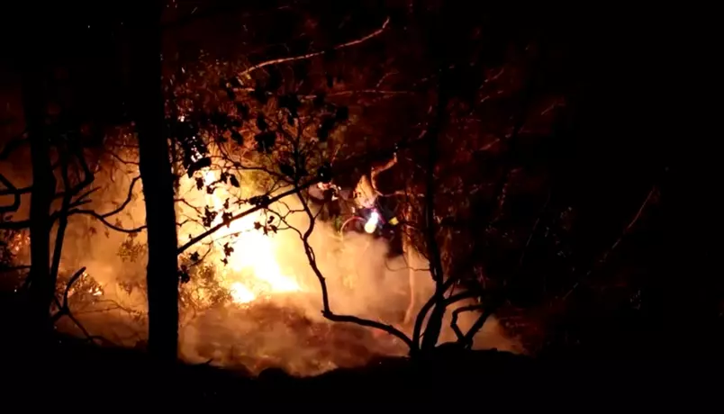 Bombeiros combatem incêndio florestal de grandes proporções na Grécia
