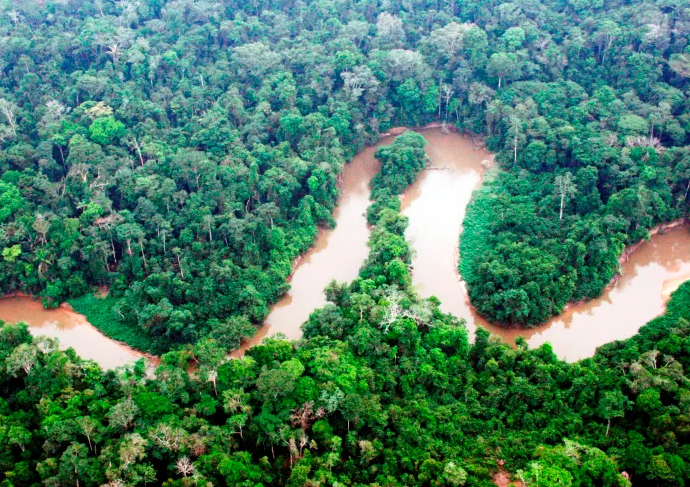 AC é um dos 9 Estados do Brasil que têm regras atualizadas sobre reposição florestal