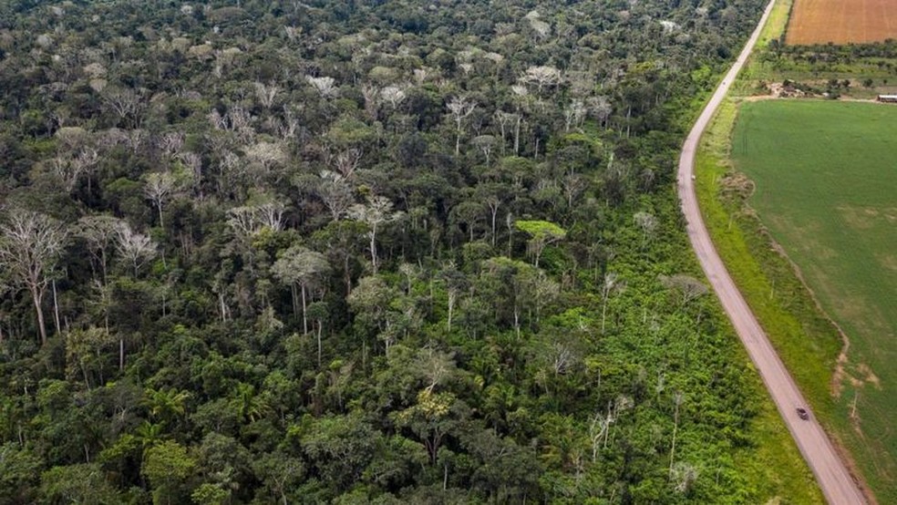Congresso Internacional da Natureza quer proteção de 80% da Amazônia até 2025