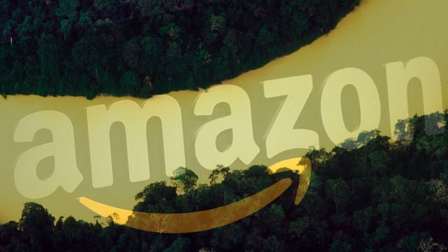 Amazon vai restaurar florestas na Amazônia do País em ação de remoção de carbono
