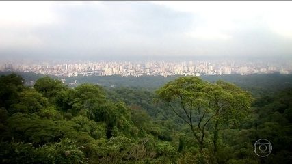 Justiça proíbe Ibama de anular sanções ambientais em áreas de preservação da Mata Atlântica