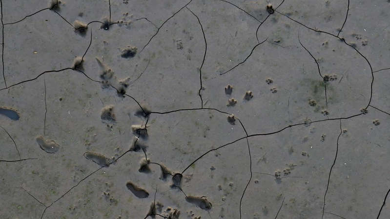 seca no rio Paraná