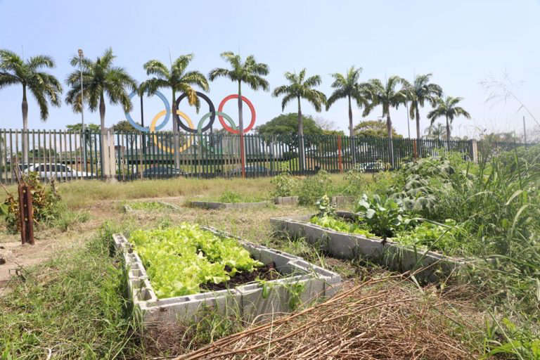 Rio de Janeiro prepara para criar a maior horta urbana do mundo