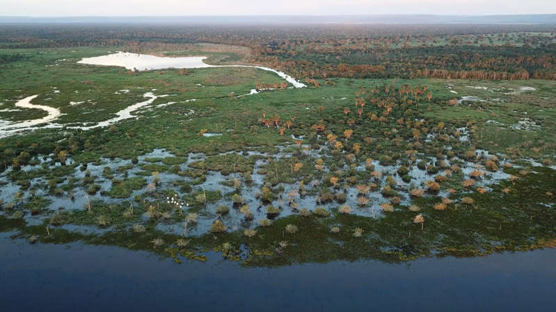Pantanal perdeu 29% de superfície de água, entre a cheia de 1988 e 2018