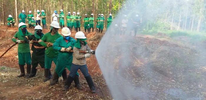 Eldorado Brasil aposta em tecnologia para prevenir incêndios florestais