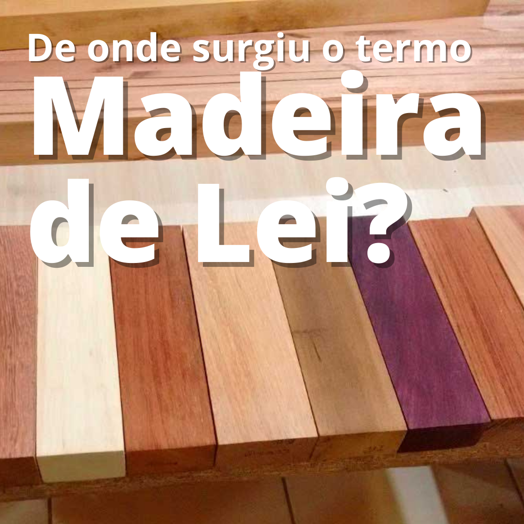 De onde surgiu o termo madeira de lei?