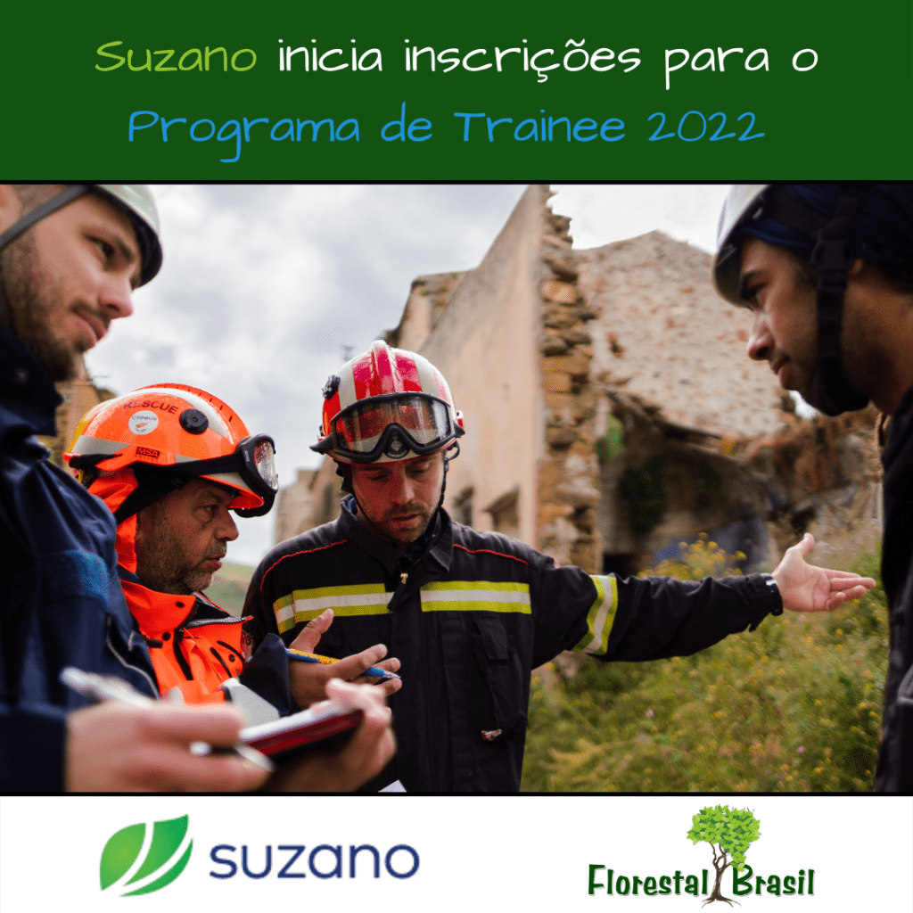 Trainee Suzano 2022