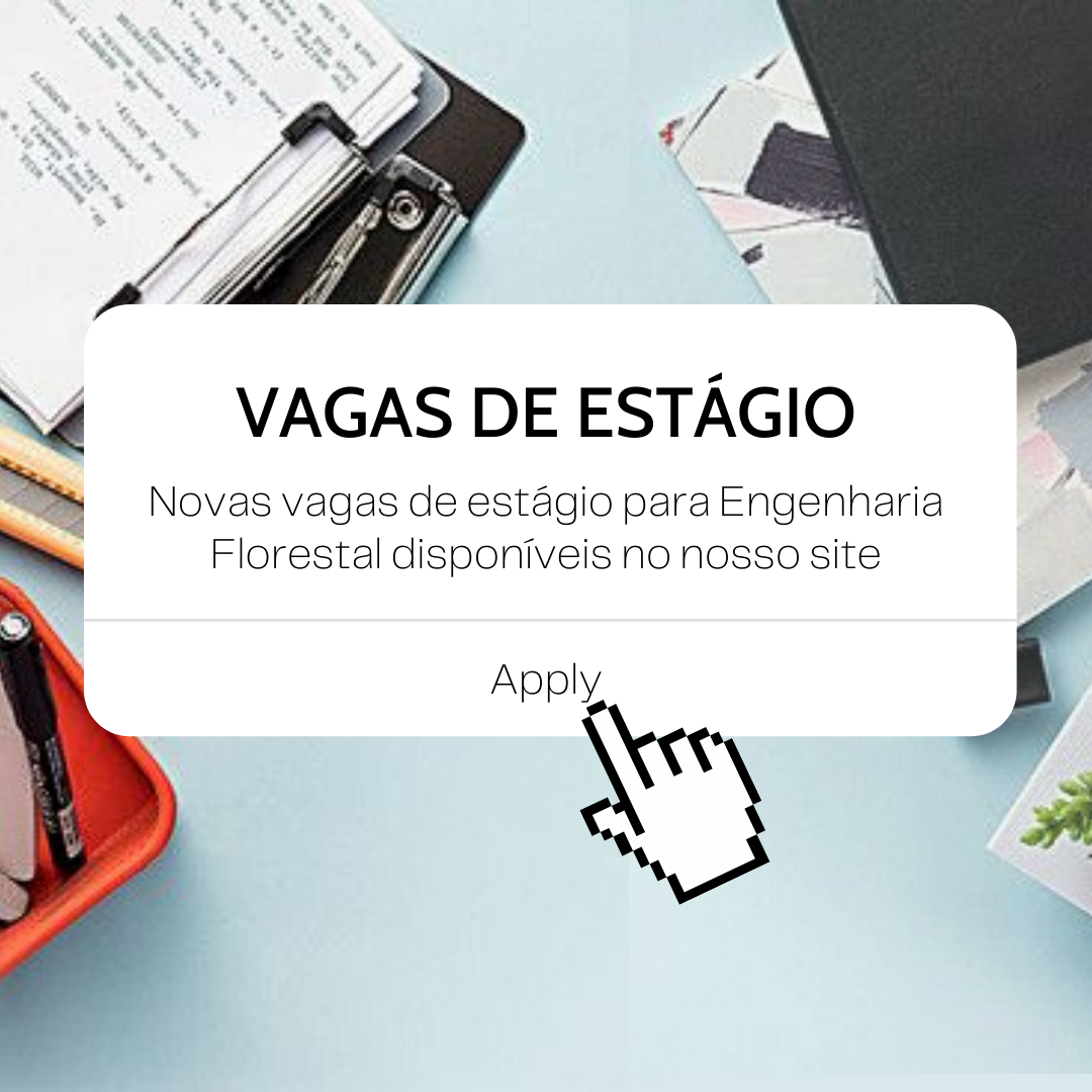 Processos seletivos para estágio em andamento