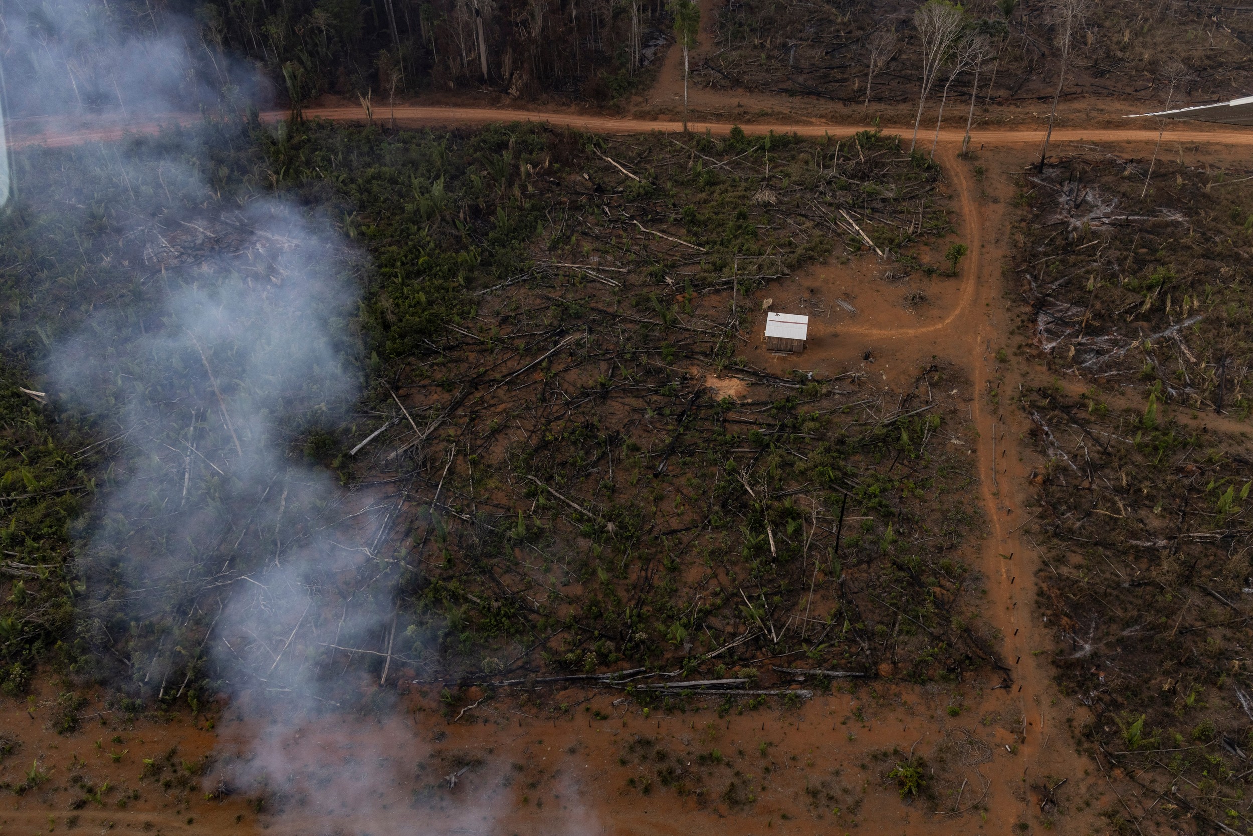 Sobrevoo mostra que o sul do AM é a nova fronteira do desmatamento