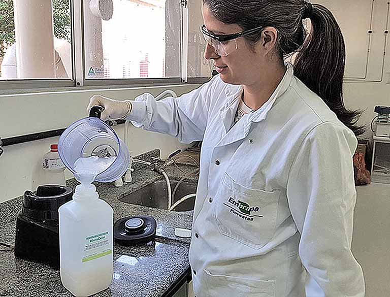 Para que serve o eucalipto? Espessante natural e outras utilizações