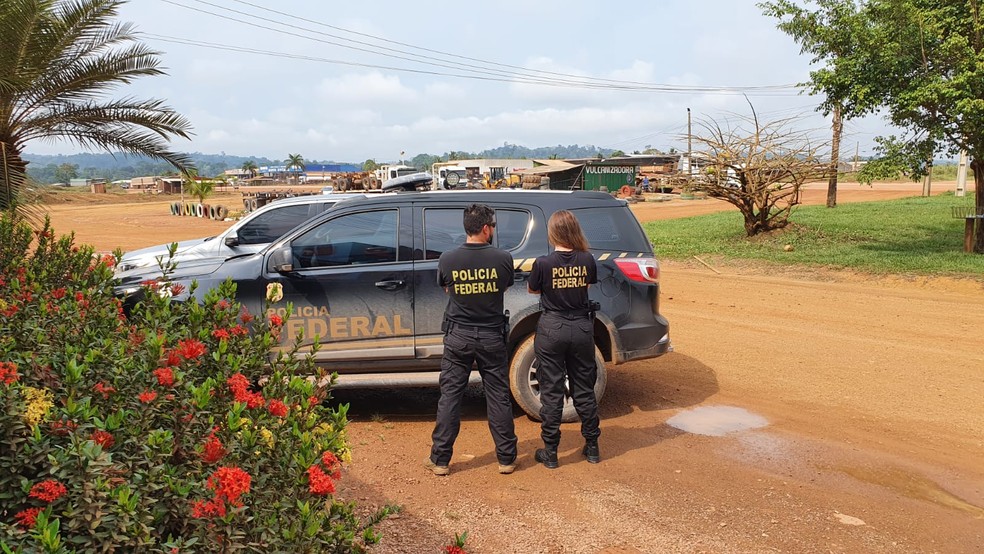 PF aponta mais de 700 hectares de desmatamento ilegal na Floresta Nacional do Jamanxim, sudoeste do PA