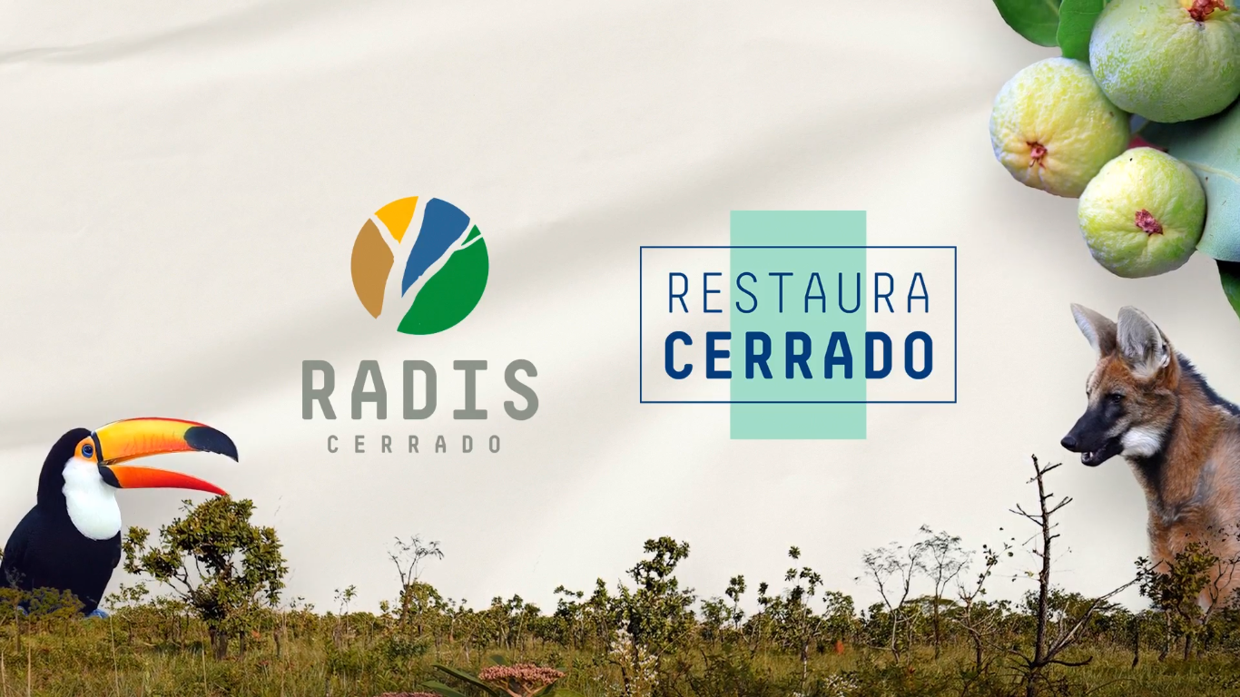 App desenvolvido pela UnB auxilia agricultores na restauração do Cerrado