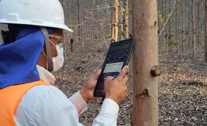 Usando IoT para monitoramento do crescimento de florestas plantadas
