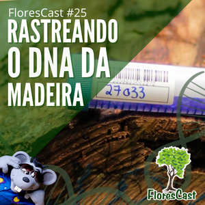 FloresCast #25 - Rastreando a madeira pelo DNA
