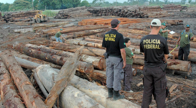 Polícia Federal deflagra a Operação SOS Jamanxim