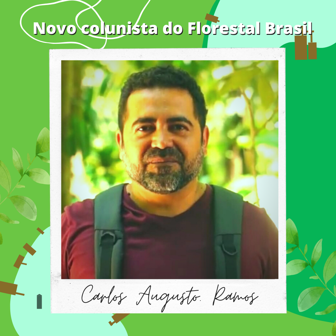 Carta de Acapu, por Carlos Augusto Ramos [COLUNA ESPECIAL]