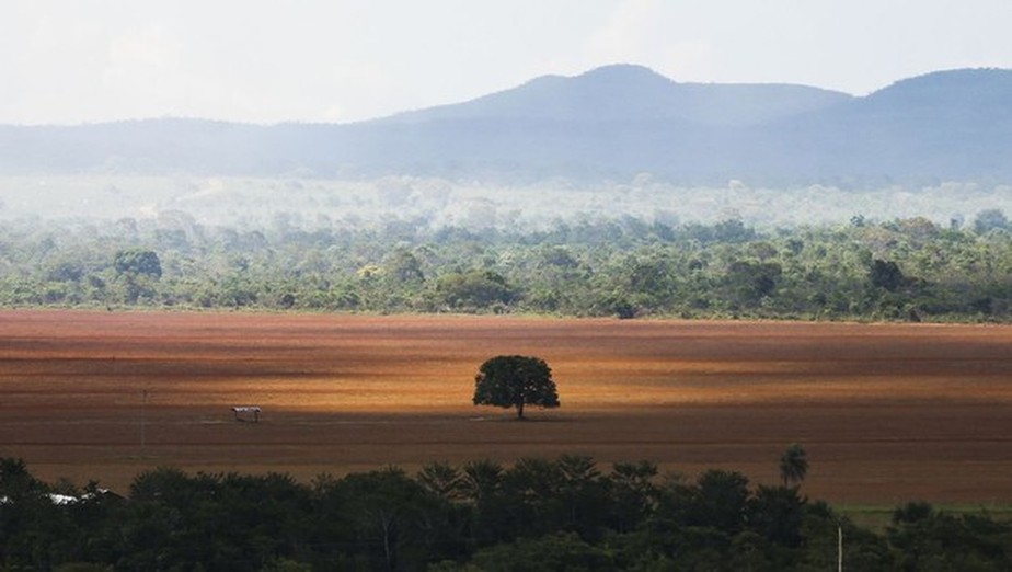 Agricultura no cerrado