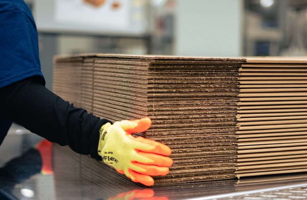 International Paper Brasil agora é Sylvamo: a empresa de papel do mundo