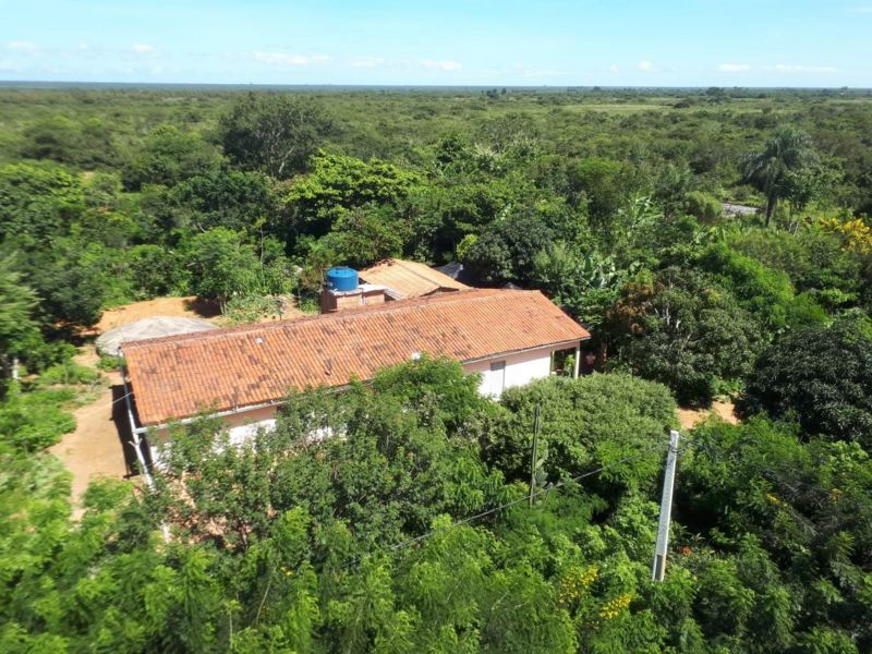 agrofloresta que transforma