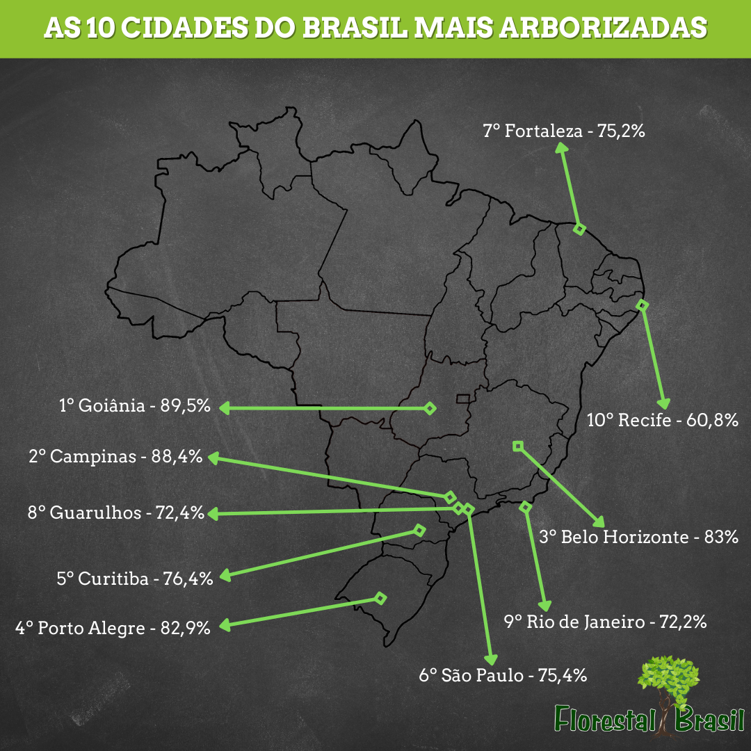 As 10 cidades do Brasil mais arborizadas