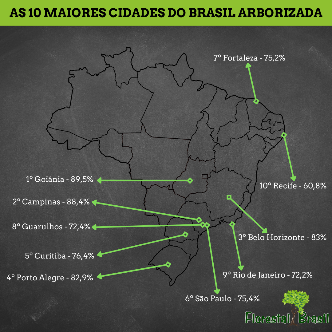 As 10 cidades do Brasil mais arborizadas