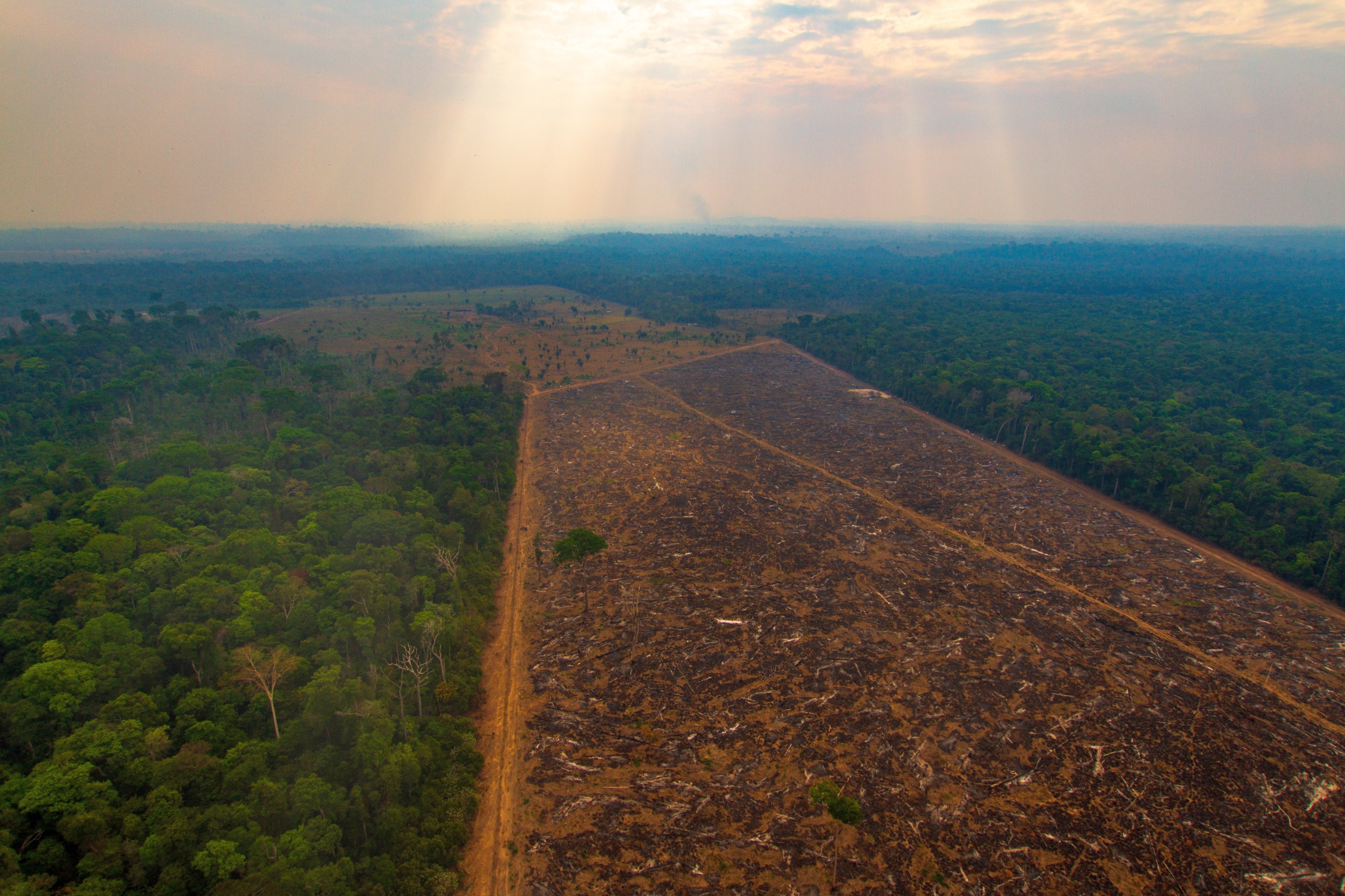 Desmatamento da Amazônia no Brasil sobe 22% e atinge maior alta em 15 anos