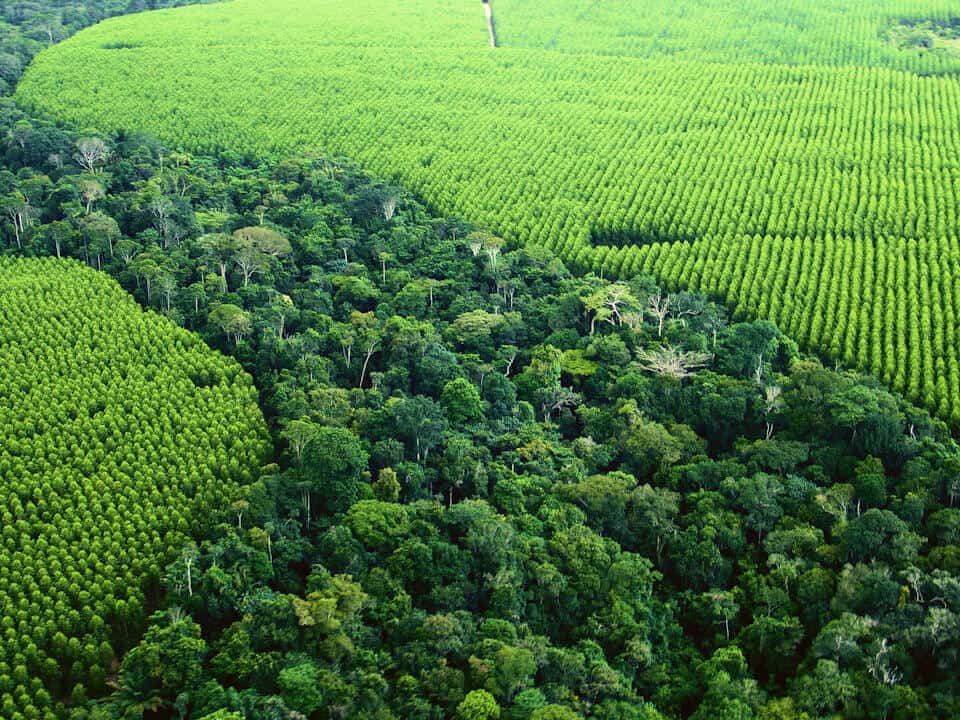 Na Amazônia, 93% dos imóveis ainda não tiveram o Cadastro Ambiental Rural validado