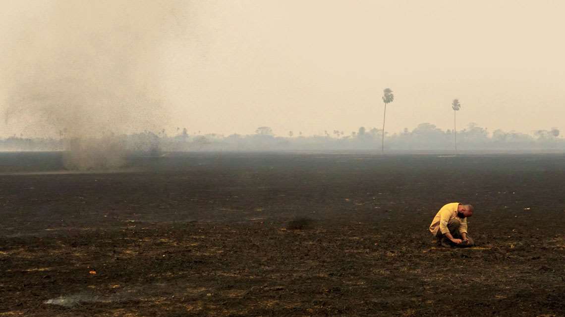 Incêndios no Pantanal mataram 17 milhões de animais