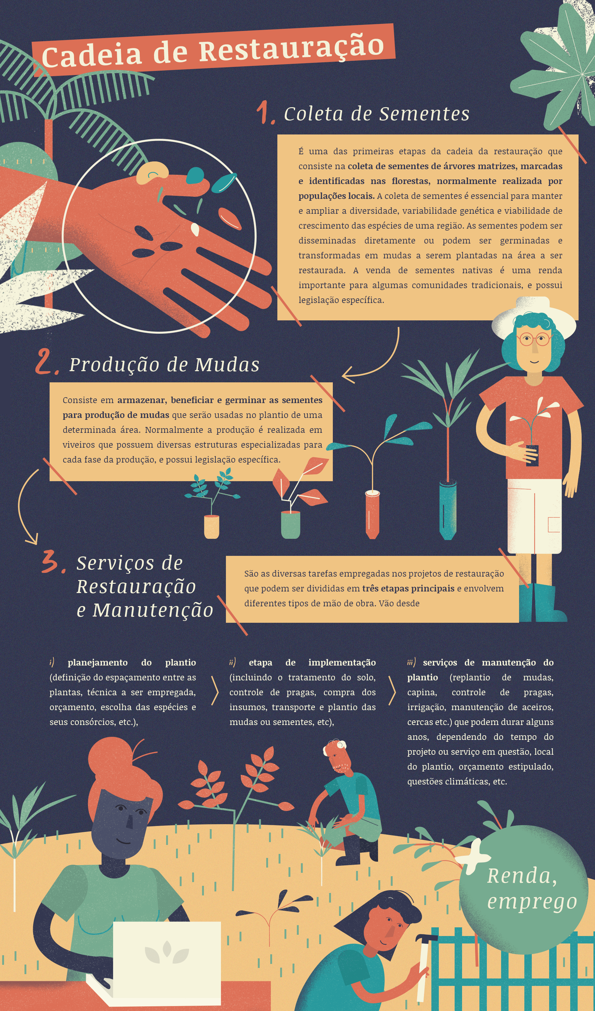 incluindo pessoas na restauração florestal