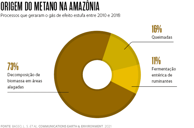 Amazônia produz 8% do metano do planeta