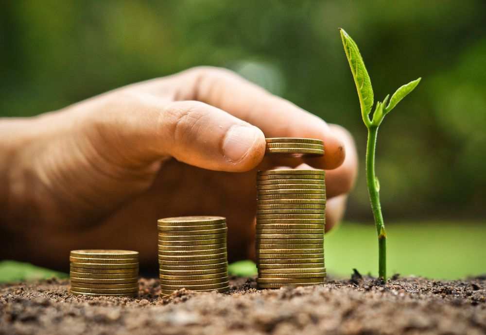 Para BNDES, investir em floresta vale mais que especular com ações