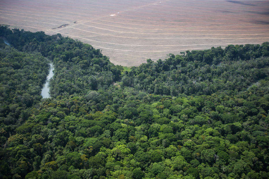 Imazon lança ferramenta de inteligência artificial para prever o desmatamento na Amazônia