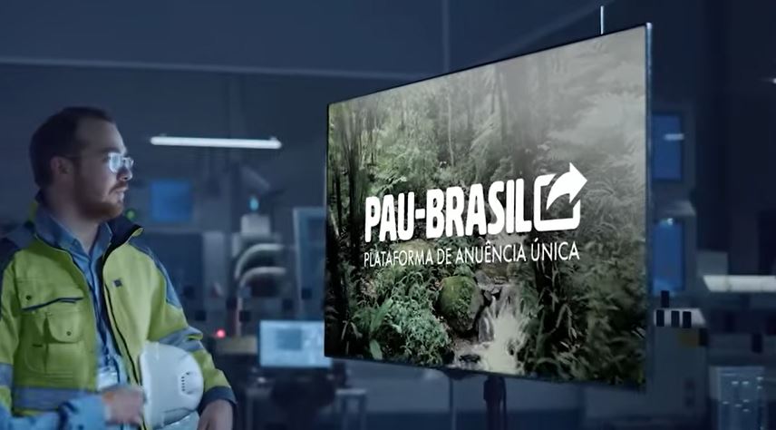 Ibama institui Plataforma Pau-Brasil e traz melhorias no controle de produtos da biodiversidade