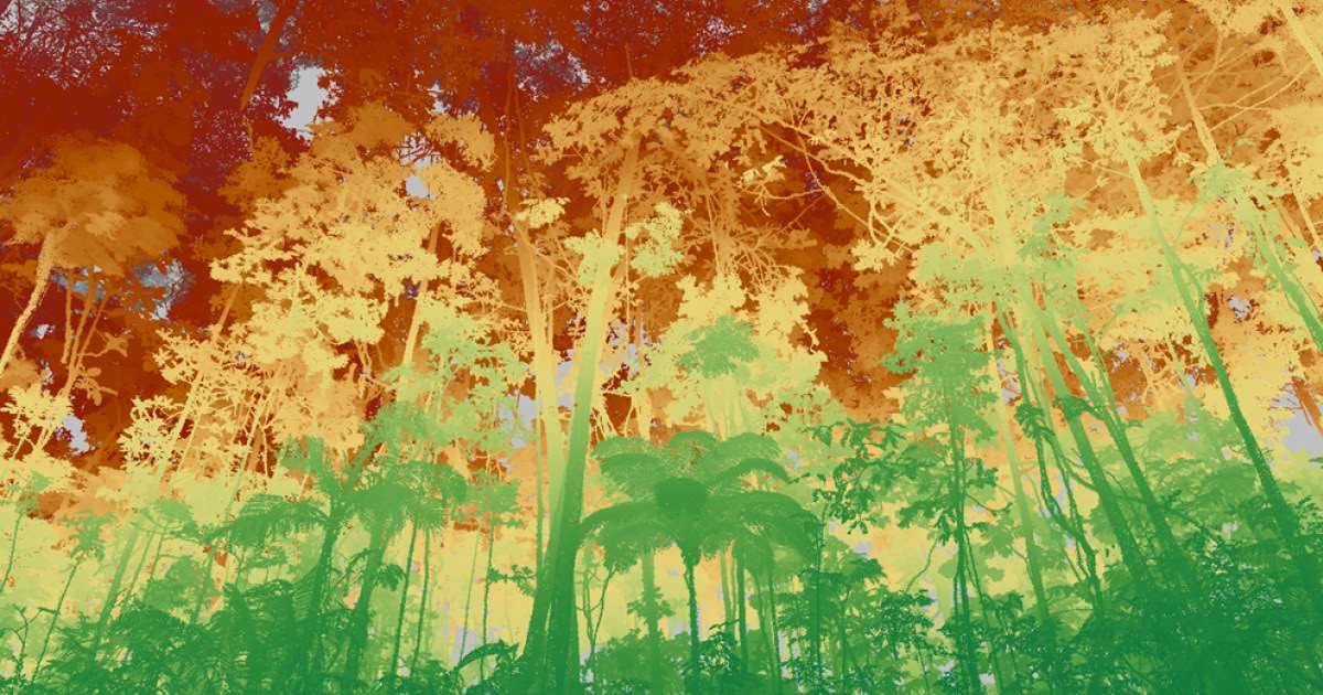 Como o desmatamento e o aquecimento agridem a Amazônia